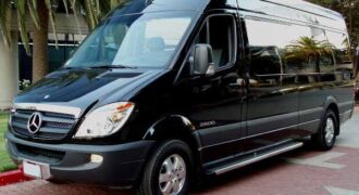 12 Passenger sprinter bus Tarpon Springs