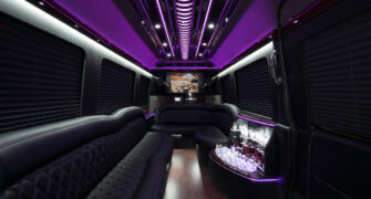 12 passenger sprinter bus rental Plant City