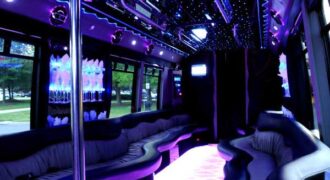 22 people Clearwater party bus
