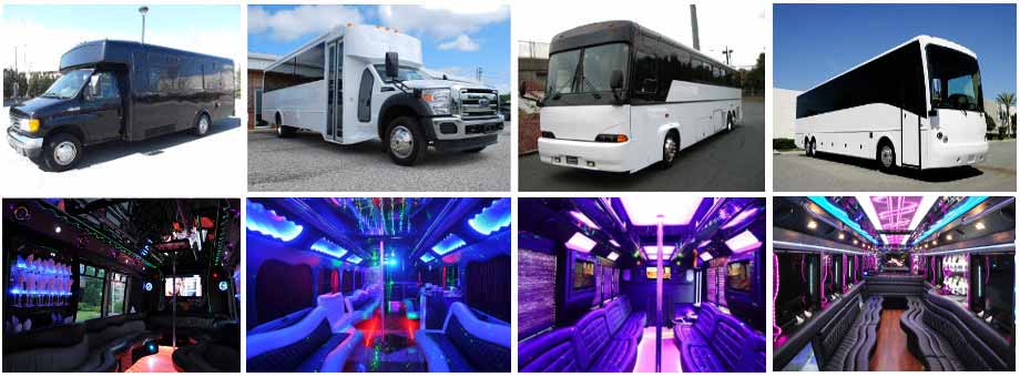 Tampa Party buses Charter