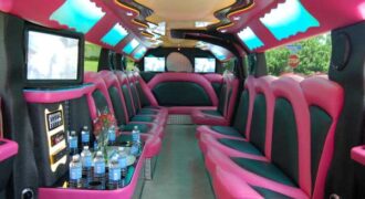 miami pink hummer limousine Dunedin