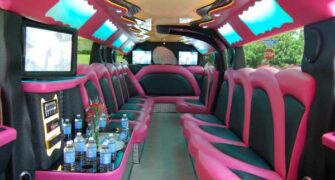 pink hummer limousine Plant City