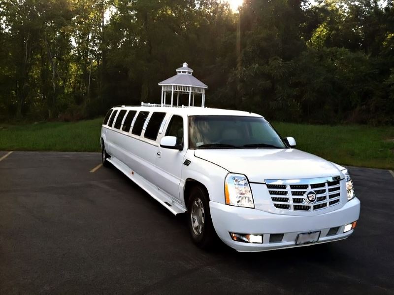 Tampa 15 Passenger Limo